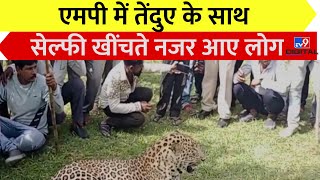 Madhya Pradesh के Dewas से आया एक हैरान करने वाला Video, तेंदुए के साथ खेलते हुए दिखे लोग | Leopard screenshot 1