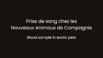 Blood sample in exotic pets