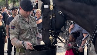 Heartwarming Gesture: Soldier Saves the Day for Thirsty King's Horse in London's Heatwave! 🐴💦