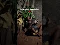 As a youth leave colos 💔 #funnyvideo #explorepage135