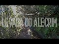 Madeira, Portugal - 4K Virtual Walk - Levada Do Alecrim (Complete Walkthrough) Hiking Madeira Island