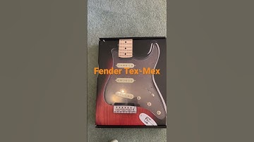 Partscaster Fender Squier Guitar Fetish #shorts