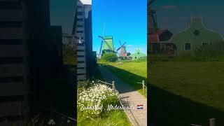 #windmill #zaanstad #zaandam #netherlands #windmills #nature #covermusic #travel