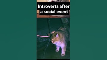 Introverts after a party #mbtipersonalities #personality #personalitytypes #mbti #introvert