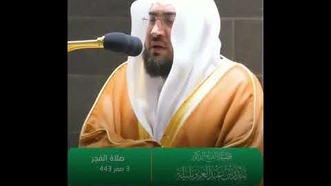 كُلُّ شَيءٍ هالِكٌ إِلّا وَجهَهُ __تلاوة إبداعية بنبرة هادئة خواتيم سورة القصص الشيخ بندر بليلة