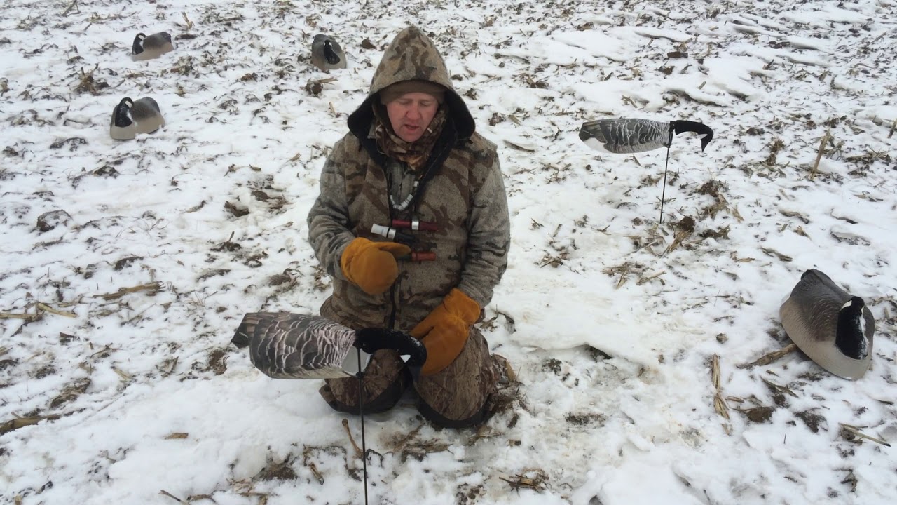 Canada Goose Windsock Decoys FeatherTek YouTube