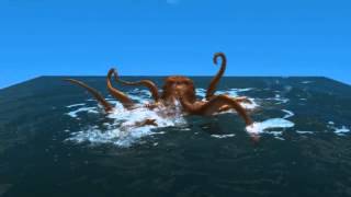 The Kraken