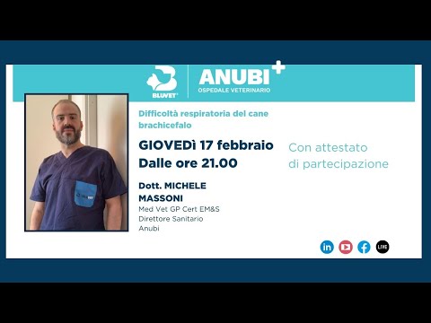 Video: I cani dovrebbero essere nutriti di mattina e di notte?