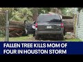 Texas weather: Fallen tree kills mother of four in Houston storm | FOX 7 Austin