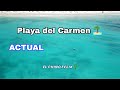 Playa del carmen ✅️ Actualidad 🏝 mamitas beach