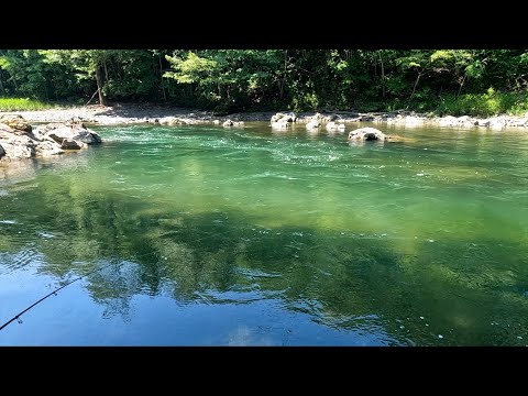 真夏の本流釣行【北海道 渓流ルアー Hokkaido trout fishing】