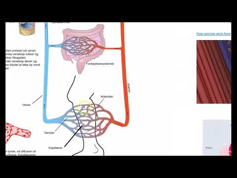 Video: Hvad er kredsløbssystemet i menneskekroppen?