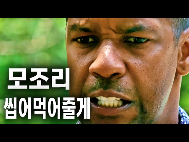 와..정말 최고의 감동.. '아저씨' 는 분명 이 영화를 참고했다 (영화리뷰 결말포함)