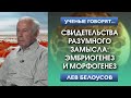 Свидетельства разумного замысла: эмбриогенез и морфогенез | Лев Белоусов. Разумный замысел в природе