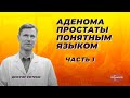 Аденома простаты понятным языком. Часть 1.