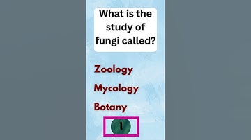 Science Quiz Challenge: Test Your Knowledge with Engaging Trivia! #quiz #quiztime #trivia