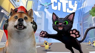 PETUALANGAN KUCING KECIL YANG TERSESAT DI KOTA BESAR!- Little Kitty Big City #1