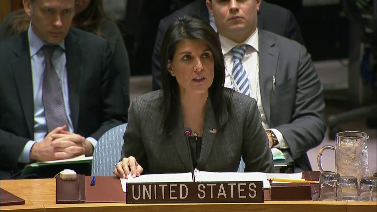 Remarks at a UN Security Council Briefing on the Situation in Syria ...