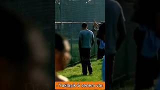 Yaklak 5 Senem Var prisonbreak scofield sera netflix fox fyp foryou love