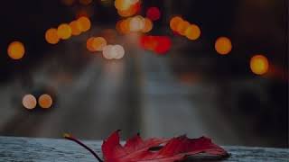 STORY WA LITERASI || STORY WA DJ MENJAGA JODOH ORANG LAIN || STORY WA KEKINIAN 2020 || STORY WA AMBY