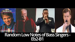 Random Low Notes of Bass Singers - Eb2-B1 compilation