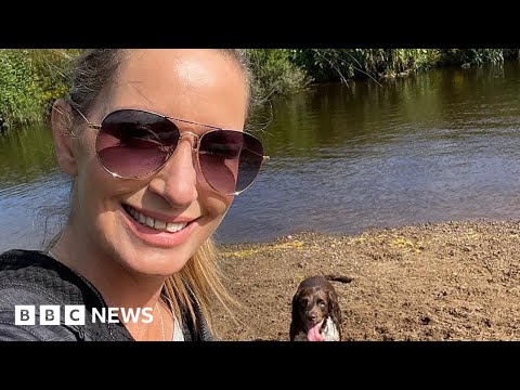 Search for missing woman Nicola Bulley extends to sea - BBC News