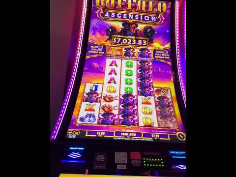 Jackpot on Quick hit #foryou #sports #casino #casinogames #gambling