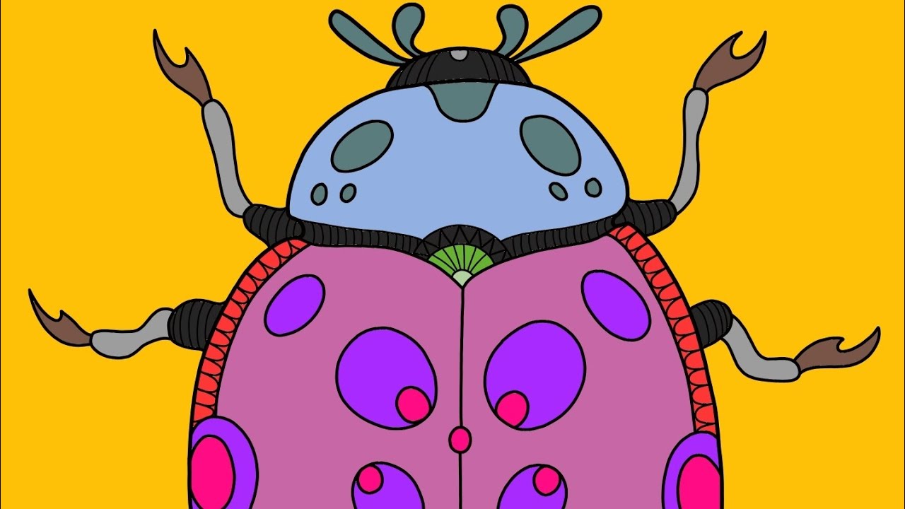 Koordinat Sistemi Konu Anlatımı (Ulaş)