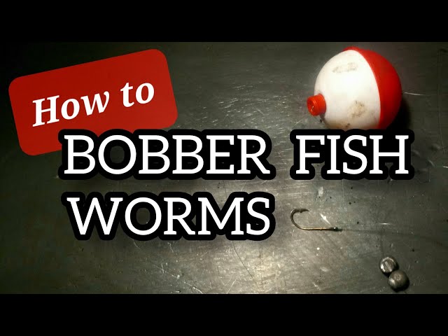 Silver Salmon Bobber Set-Up : 8 Steps - Instructables