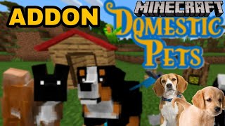 Domestic Pets Addon MCPE | Mod Minecraft | mcpe download #Addon screenshot 3