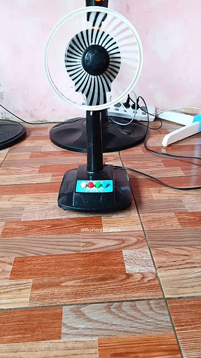 Spin , Fall , Repeat:Funniest Fan Moments‼️#fan #ventilador #ventilateur #kipasangin #lucu #shorts