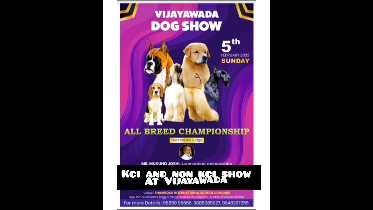Vijayawada Dog Show Kci And Non Kci Dog Show 2023 SHAMROCK SCHOOL vijayawada-dog-show-kci-and-non-kci-dog-show-2023-shamrock-school