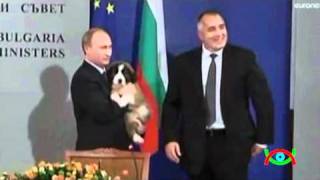 Мурзилки Int. - Путину подарили болгарского щенка Мурзилки Int. - Путину подарили болгарского щенка