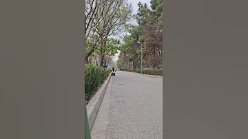 ابی دوراهی ابی 