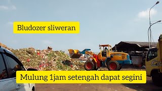 Download Lagu Mulung dapat bawang putih girang banget MP3 Download Lagu Mulung dapat bawang putih girang banget MP3