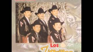 Video thumbnail of "Los Tigrillos -  Los cocos"