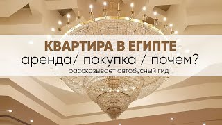 Недвижимость в Египте: цены на аренду и покупку. Рассказывает гид. Квартира у моря | Atpalm