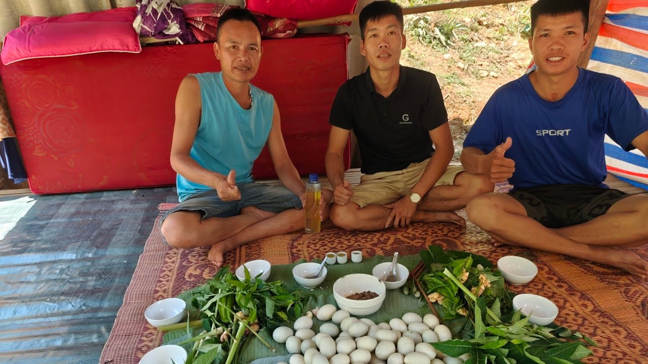 Cắt cơn trứng vịt lộn/Tam TV