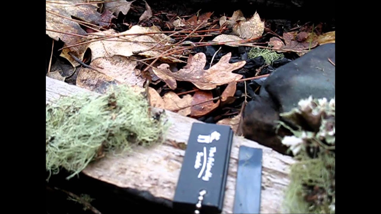 Дружелюбные шведские магниевые огни