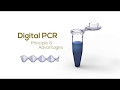 Digital PCR Principle & Advantages