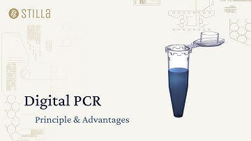 Digital PCR Principle & Advantages