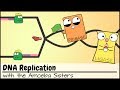 Dna replication updated