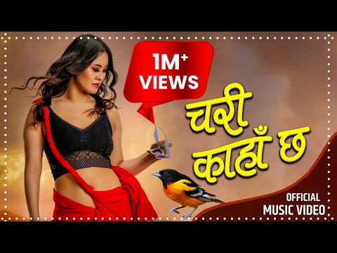 Chari Kaha Chha चर कह छ Prabin Gharti Magar Saruna Dawadi New Lok Dohori Song 2079