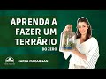 Aprenda a fazer um terrrio do zero