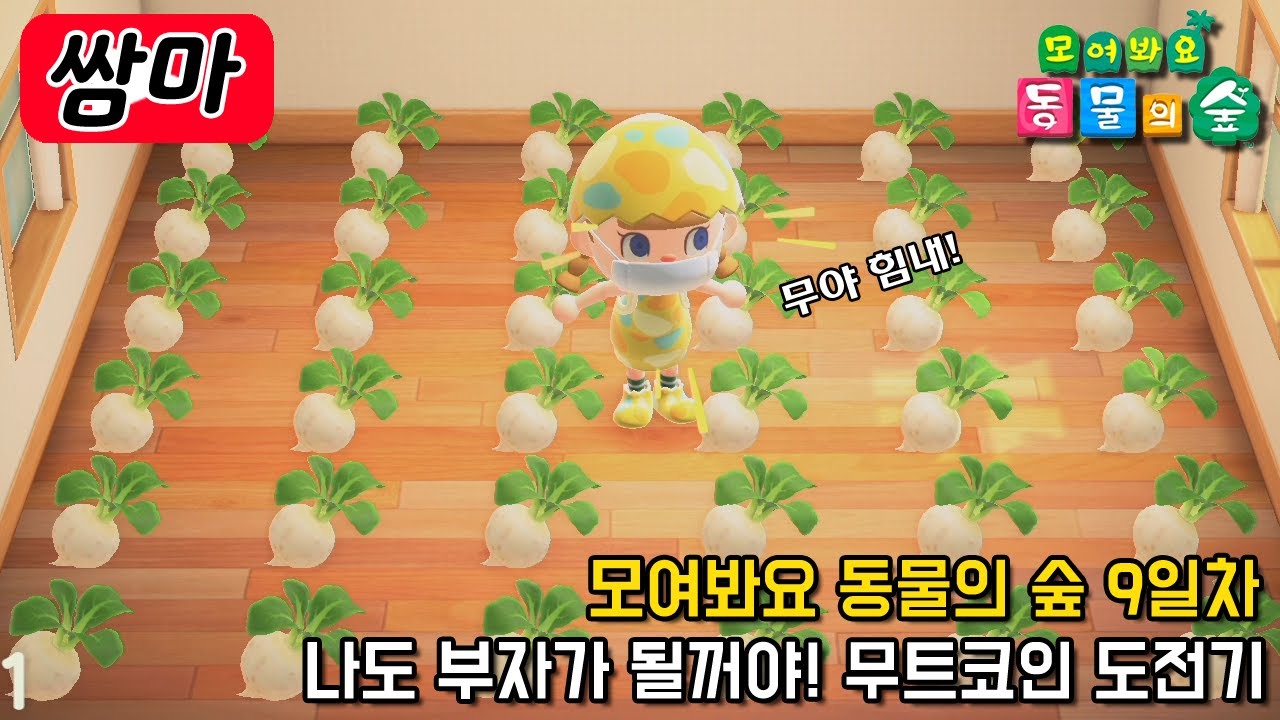 나도 부자가 될꺼야! 무트코인 도전기 - 모여봐요 동물의숲 8일차