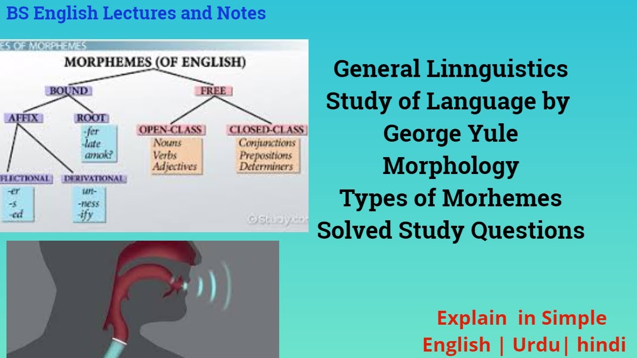 Morphology In Linguistics