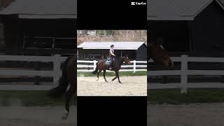 Thought About Doing More Show Prep Today But Tbh I Feel Like I Do Better When I Dont Extra Practice