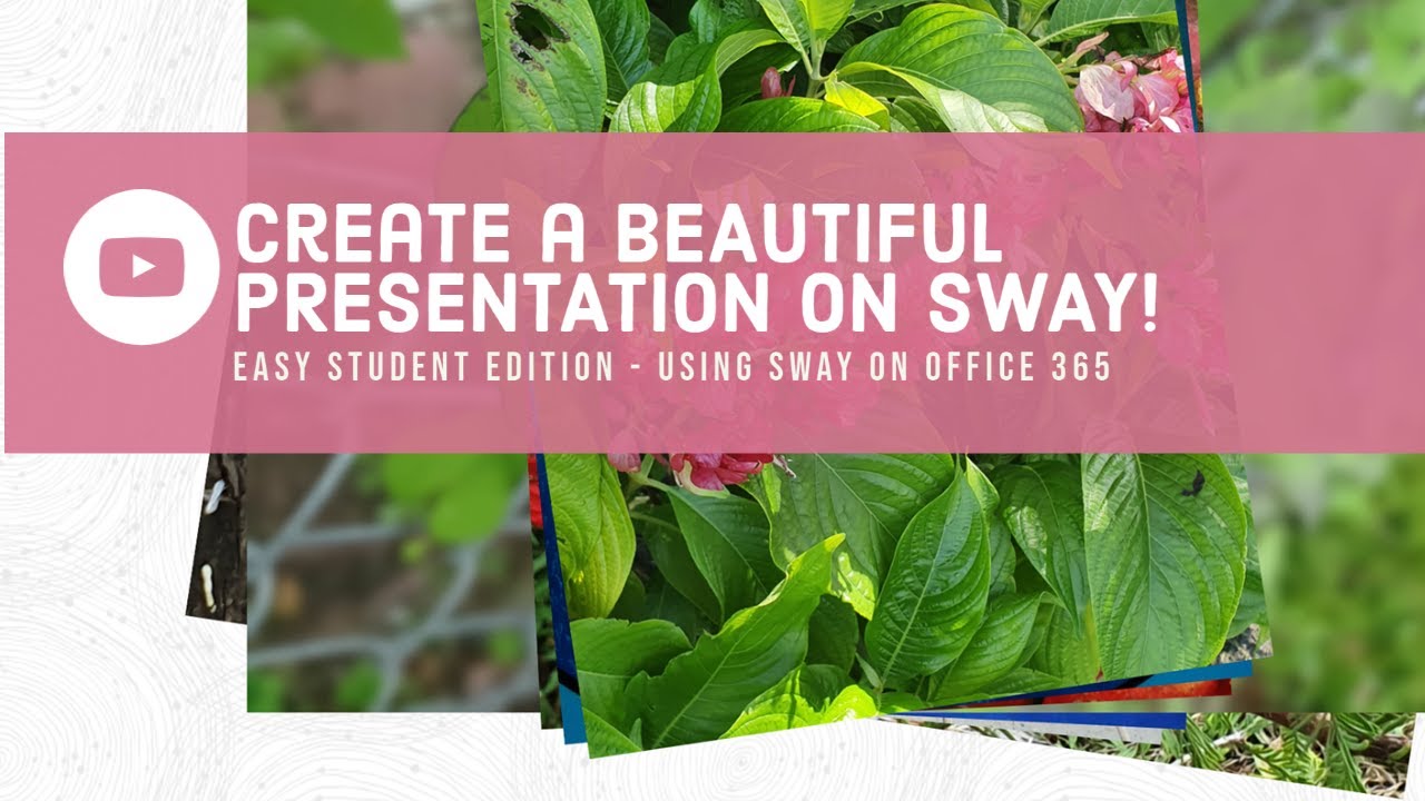 how do you make a sway presentation