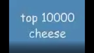 top 1000 cheese