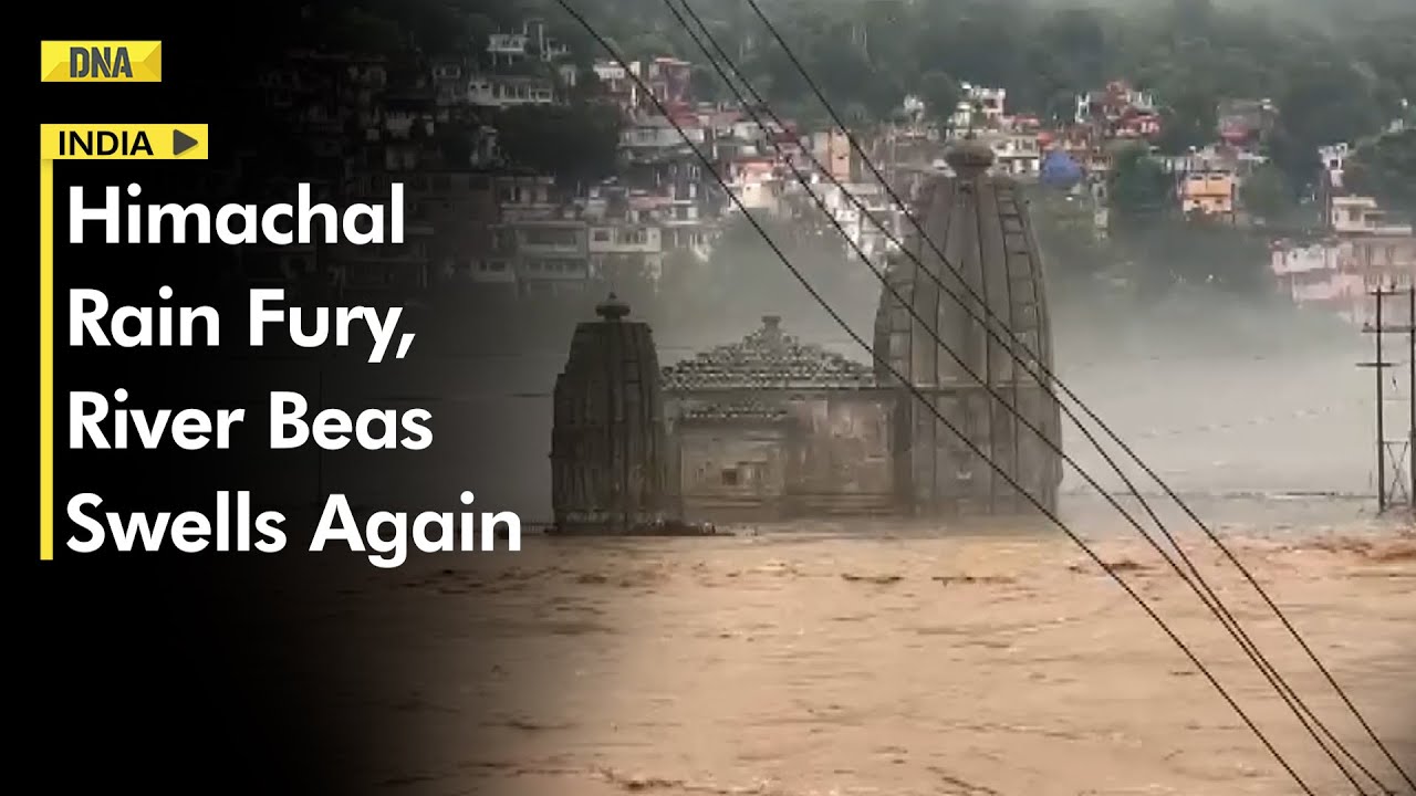 Watch: Beas River Flowing In Full Spate In Mandi, Himachal Pradesh As Downpour Continues